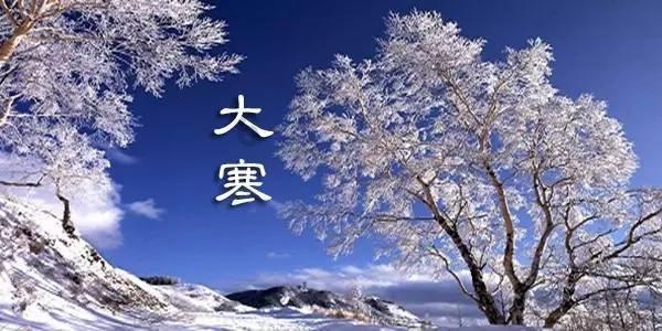 逃出茂密的丛林