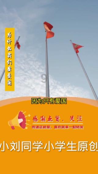 小猫钓鱼正版下载中文版