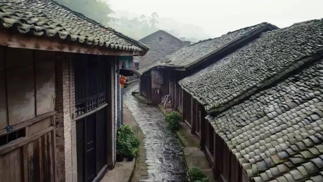 救援紫色生物